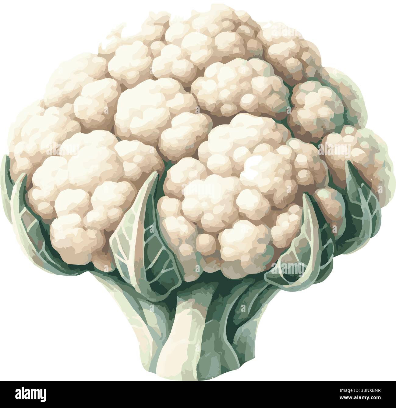 immagine di un calderone dipinta ad acquerello vettoriale Illustrazione Vettoriale