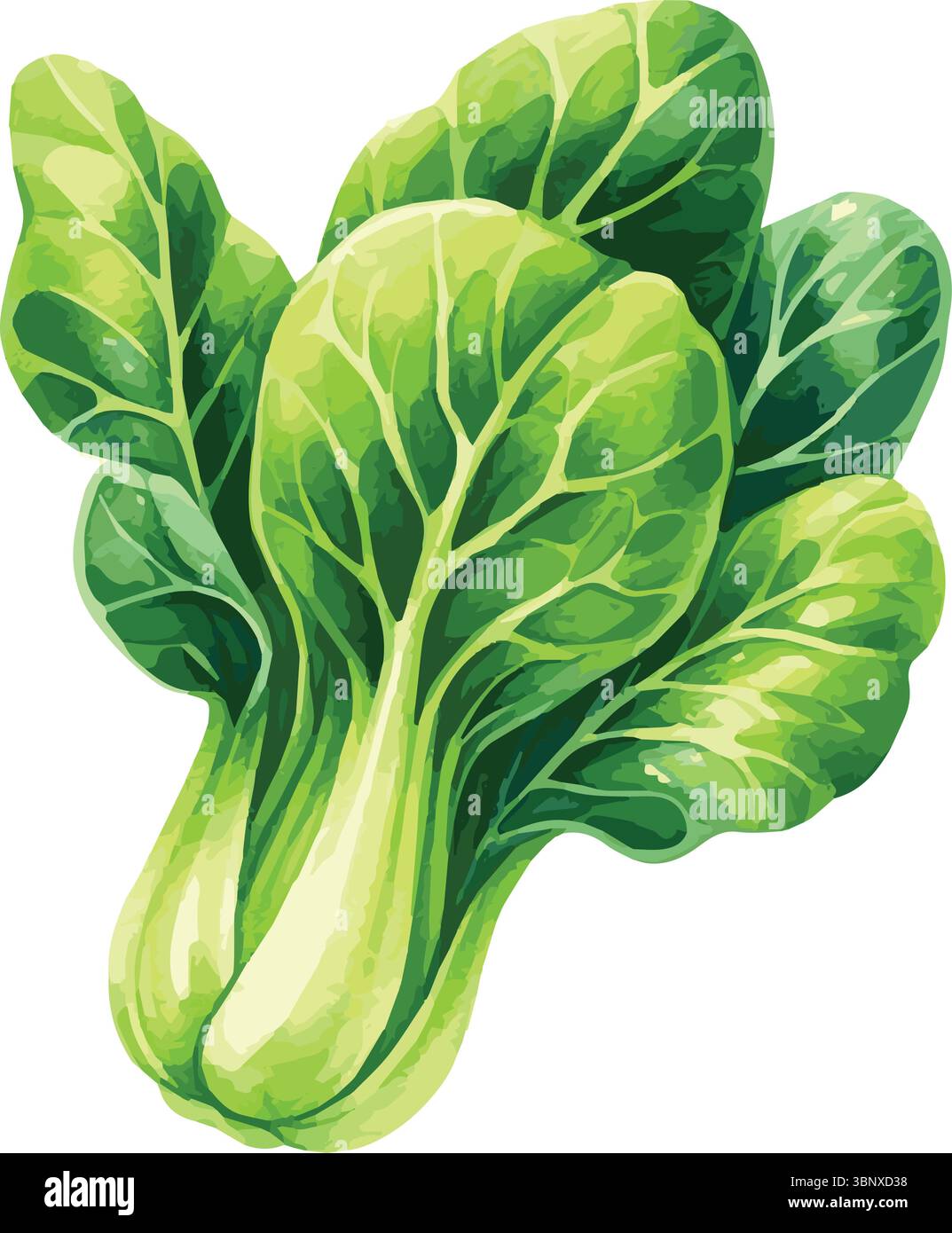 Illustrazione vettoriale dipinta ad acquerello di frutta Illustrazione Vettoriale