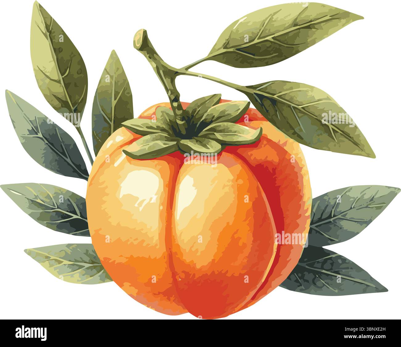 Illustrazione dipinta ad acquerello vettoriale di un Illustrazione Vettoriale