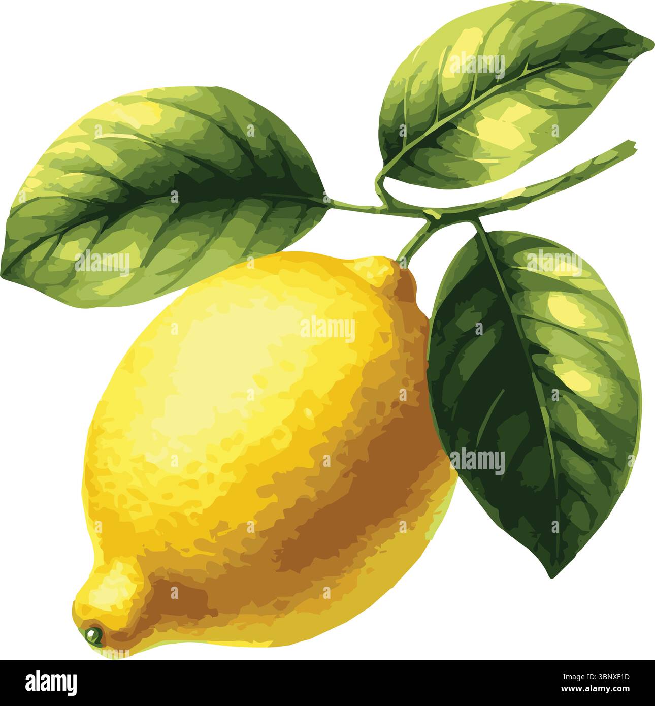 Illustrazione vettoriale dipinta ad acquerello di frutta Illustrazione Vettoriale