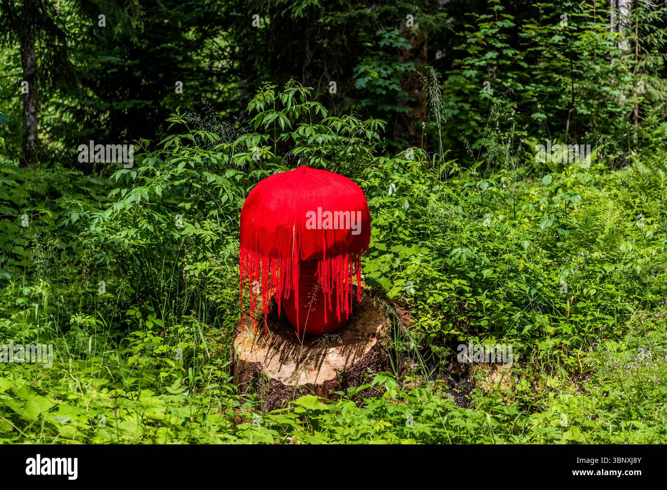 La scultura in filo dell'artista tedesca Marion Strunk forma qui una vivida struttura rossa, a forma di fungo o di nappina, realizzata in lana rossa su un ceppo d'albero in mezzo alla vegetazione lussureggiante sulla Gerschnialp vicino a Engelberg. Lunghe strisce pendenti circondano la cima a cupola. Un apprezzamento della natura scorre come un filo rosso attraverso l'opera, parte della mostra "Outlook – Insight" sul Gerschnialp Land Art Trail, Engelberg, Canton Obwalden, Svizzera, nel 2025. Foto Stock