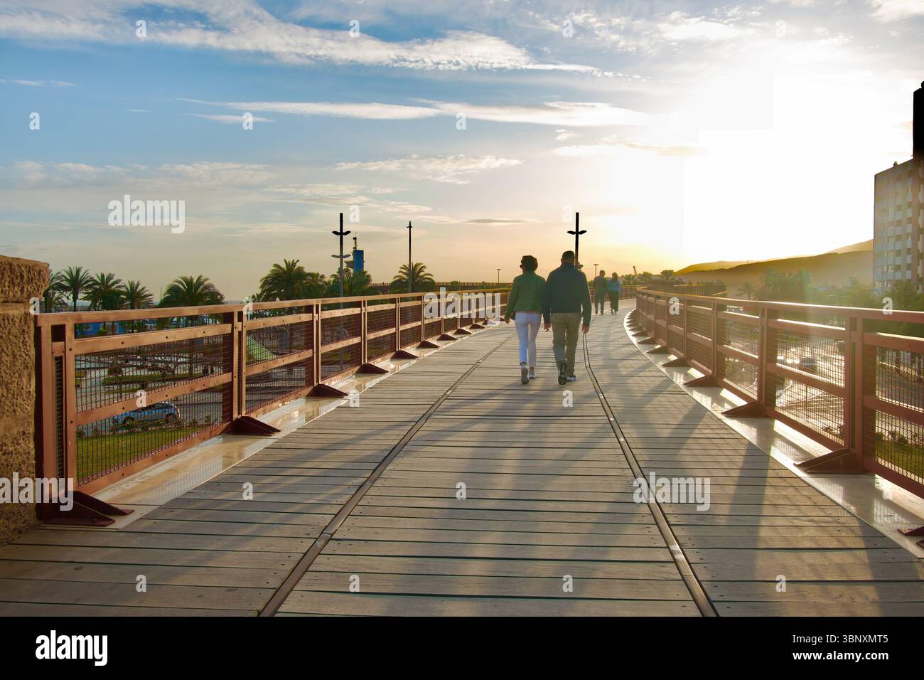 La struttura di ferro elevata di 108 m del bacino di carico di El Alquife o El Cable Inglés trasportava minerale di ferro per ferrovia dalle miniere al porto di Almeria Andalucia in Spagna Foto Stock