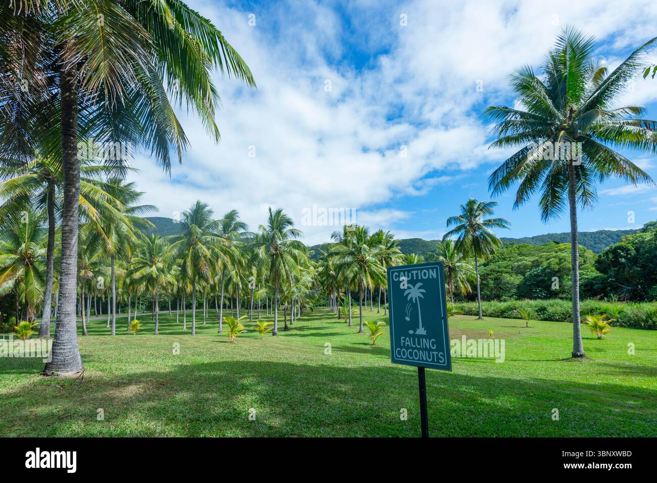 Cartello di avvertimento attenzione contro la caduta delle noci di cocco alla Thala Nature Reserve, far North Queensland, FNQ, QLD, Australia Foto Stock