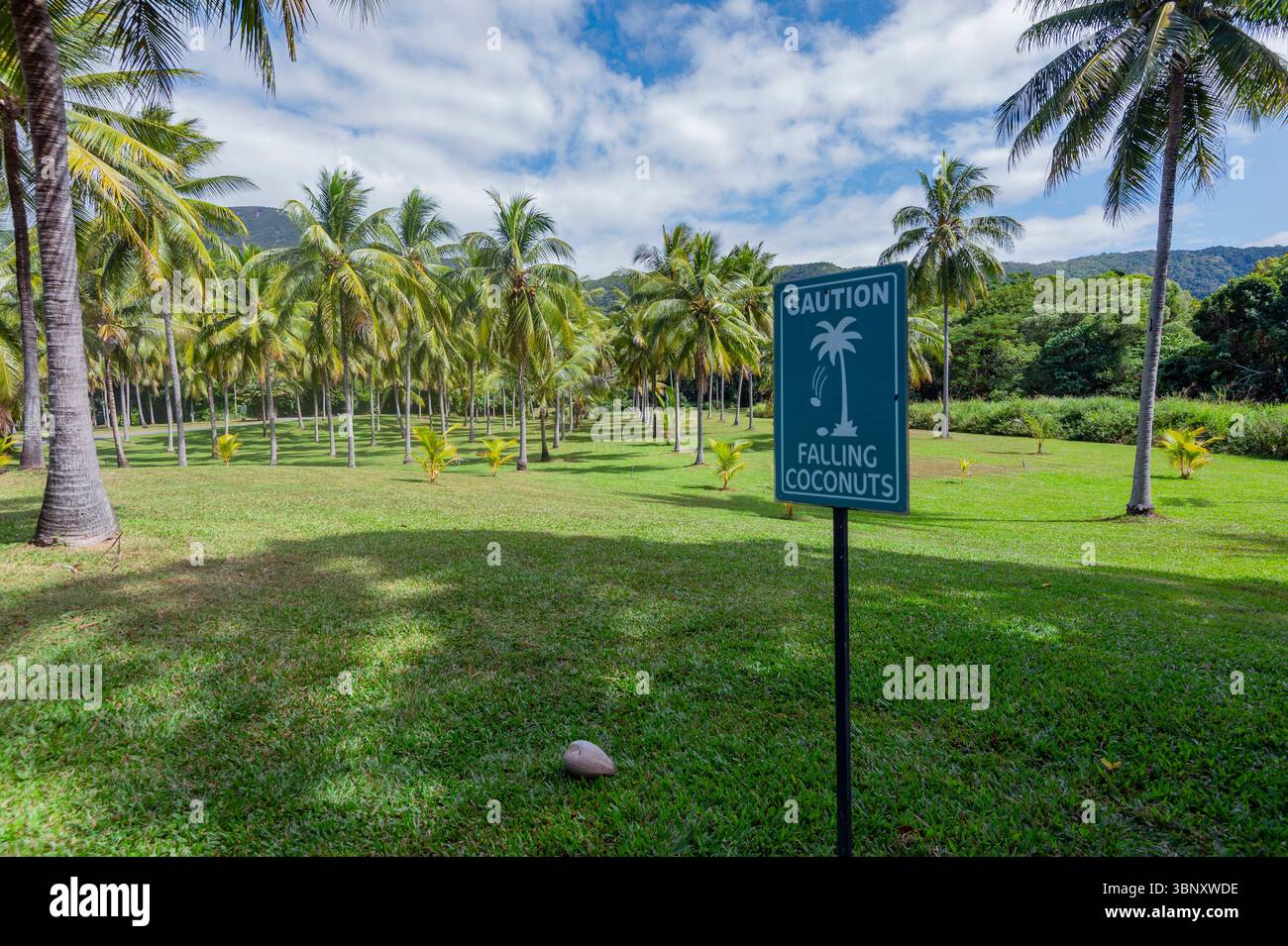 Cartello di avvertimento attenzione contro la caduta delle noci di cocco alla Thala Nature Reserve, far North Queensland, FNQ, QLD, Australia Foto Stock