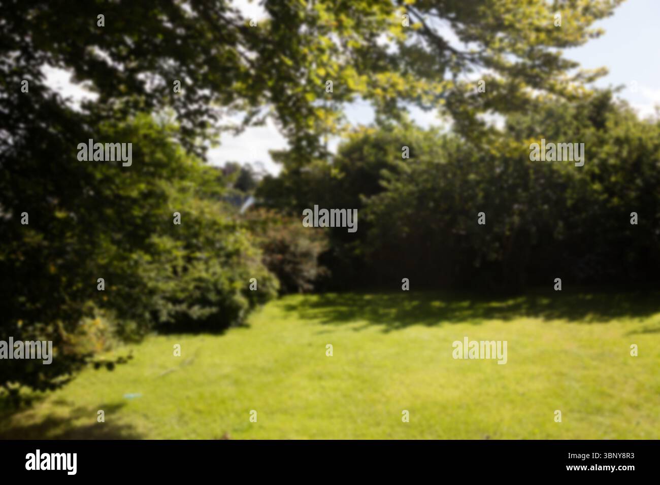 I raggi del sole sui campi erbosi nelle giornate di sole Foto Stock