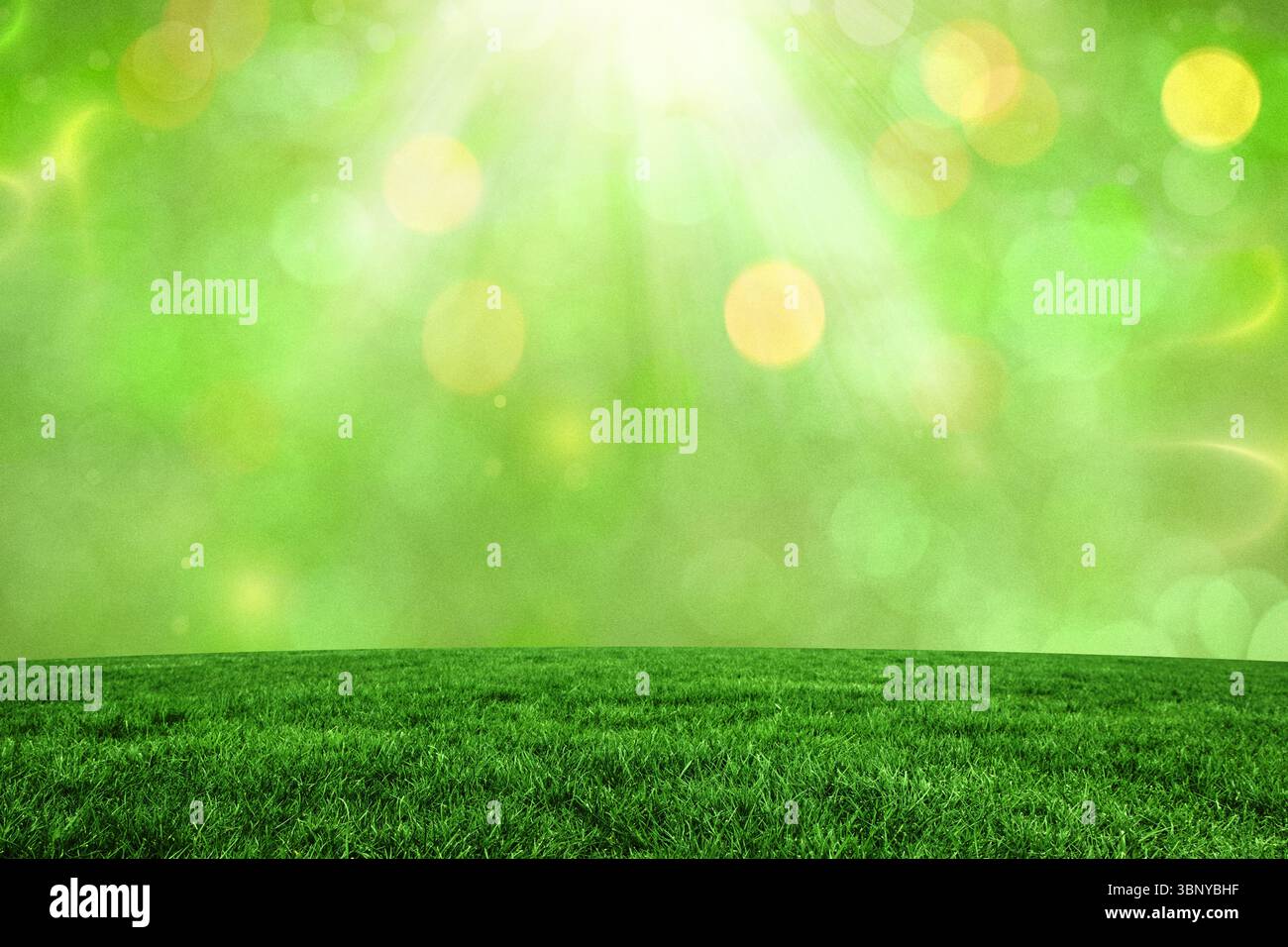 Contro le luci accese Foto Stock