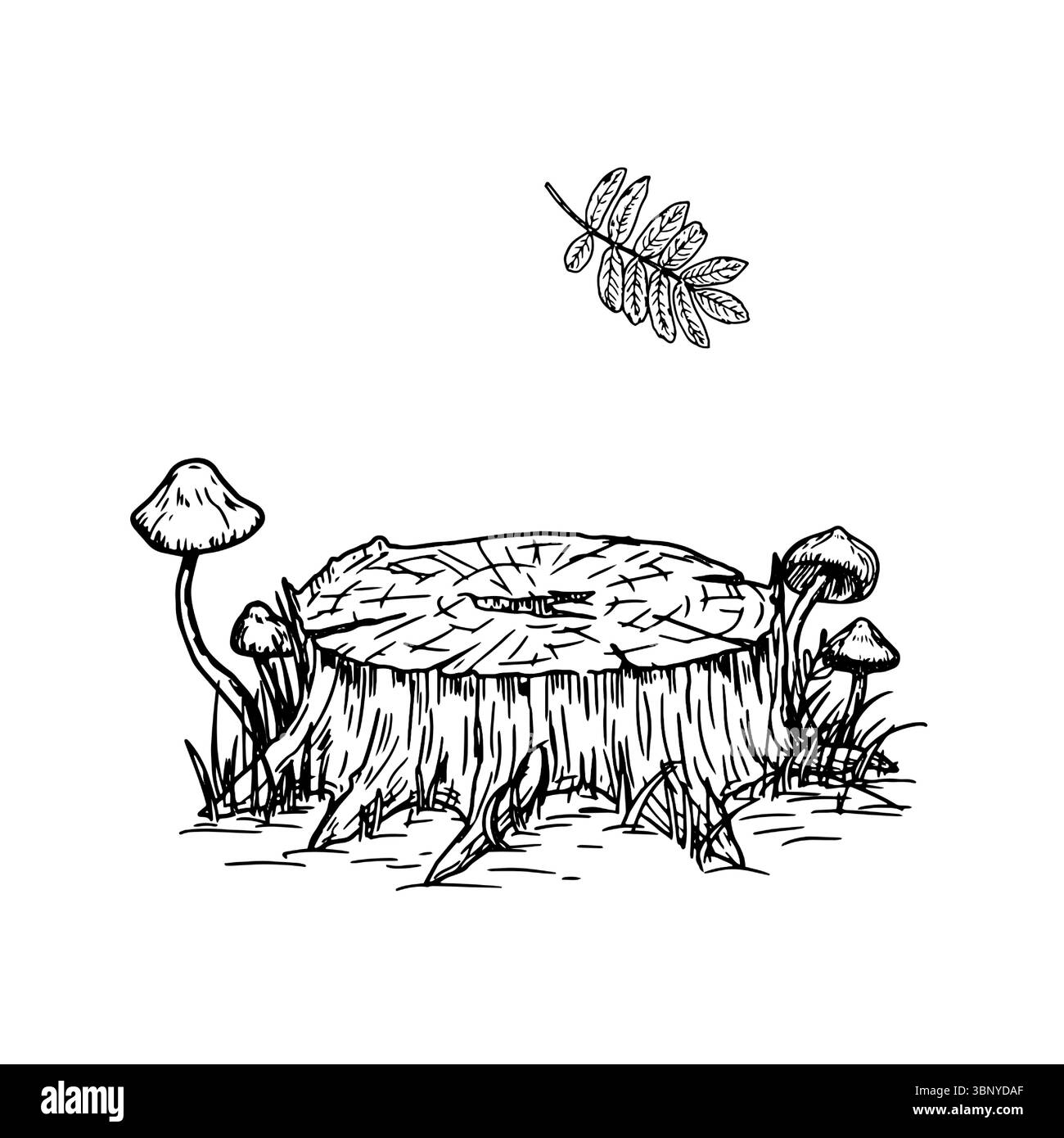 Ceppo d'albero nell'erba, fogliame e funghi di sgabello, schizzo bianco e nero. Illustrazione vettoriale. Composizione autunno-estate, isolata su un bianco Illustrazione Vettoriale