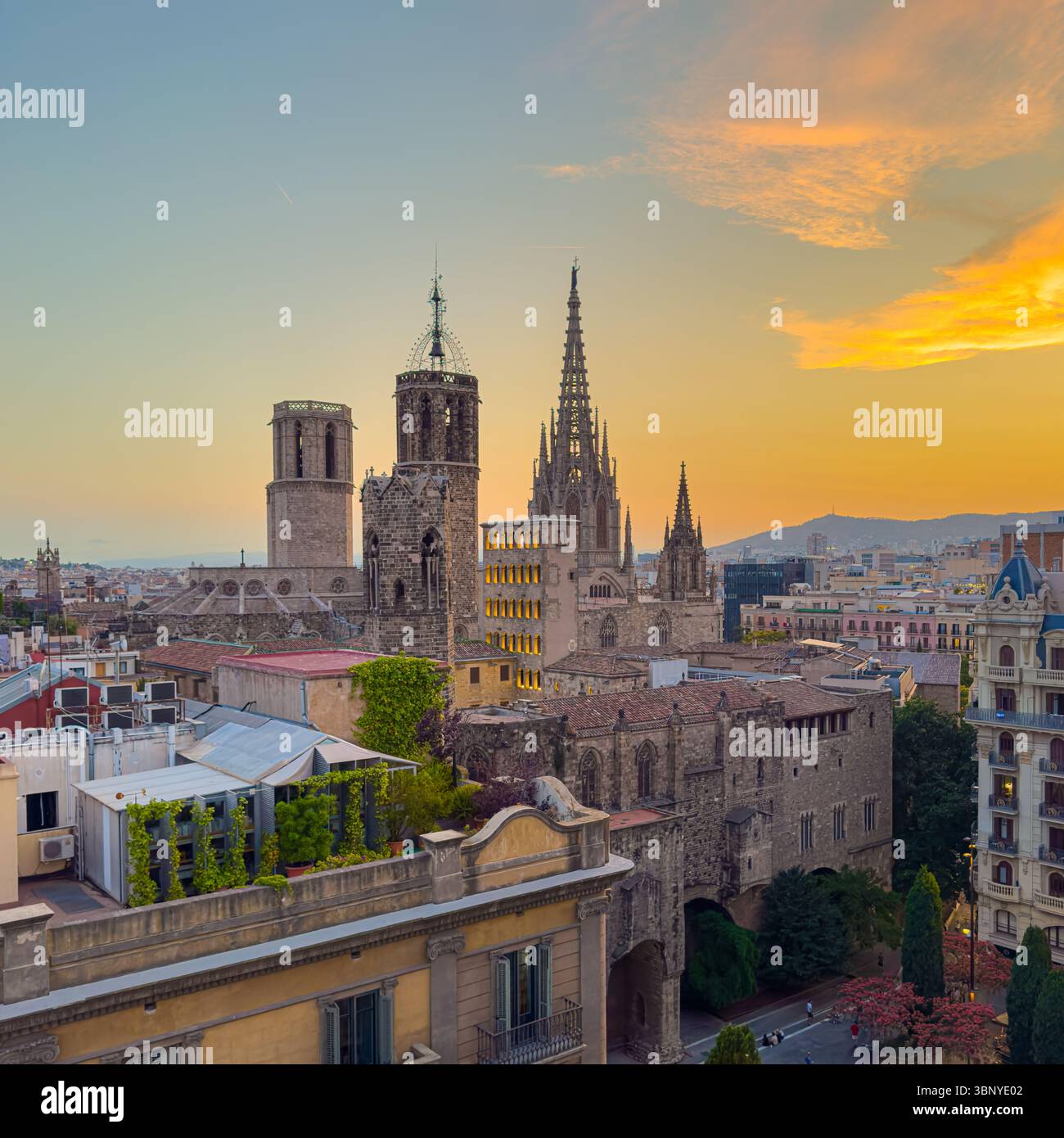 Una vista sopraelevata della Cattedrale di Barcellona e del quartiere Gotico circostante, immersa nella splendida luce dorata del tramonto, in Spagna. Foto Stock Una vista sopraelevata della Cattedrale di Barcellona e del quartiere Gotico circostante, immersa nella splendida luce dorata del tramonto, in Spagna. Foto Stock