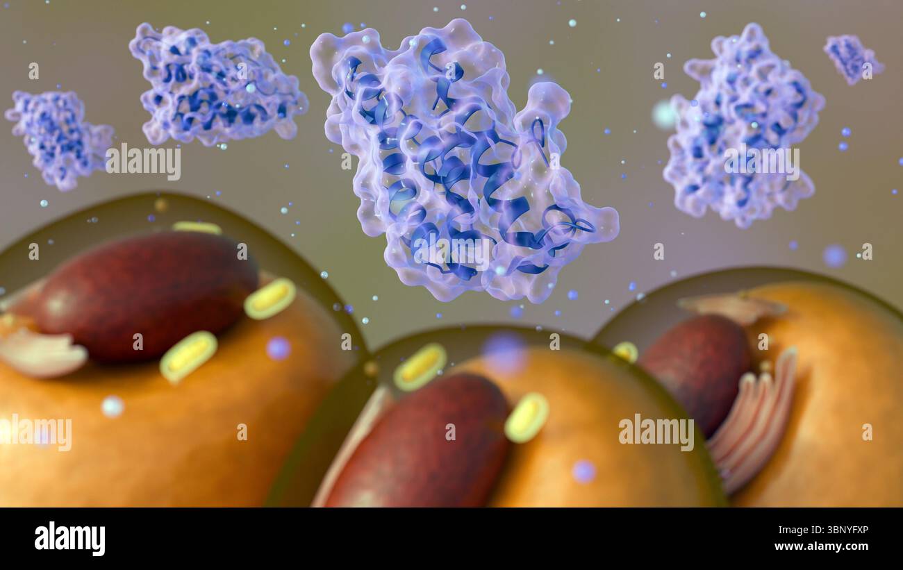 Rendering 3d di molecole di leptina sparse e cellule adipocite o adipocite, che illustra il loro ruolo nel metabolismo e nella regolazione energetica. Foto Stock