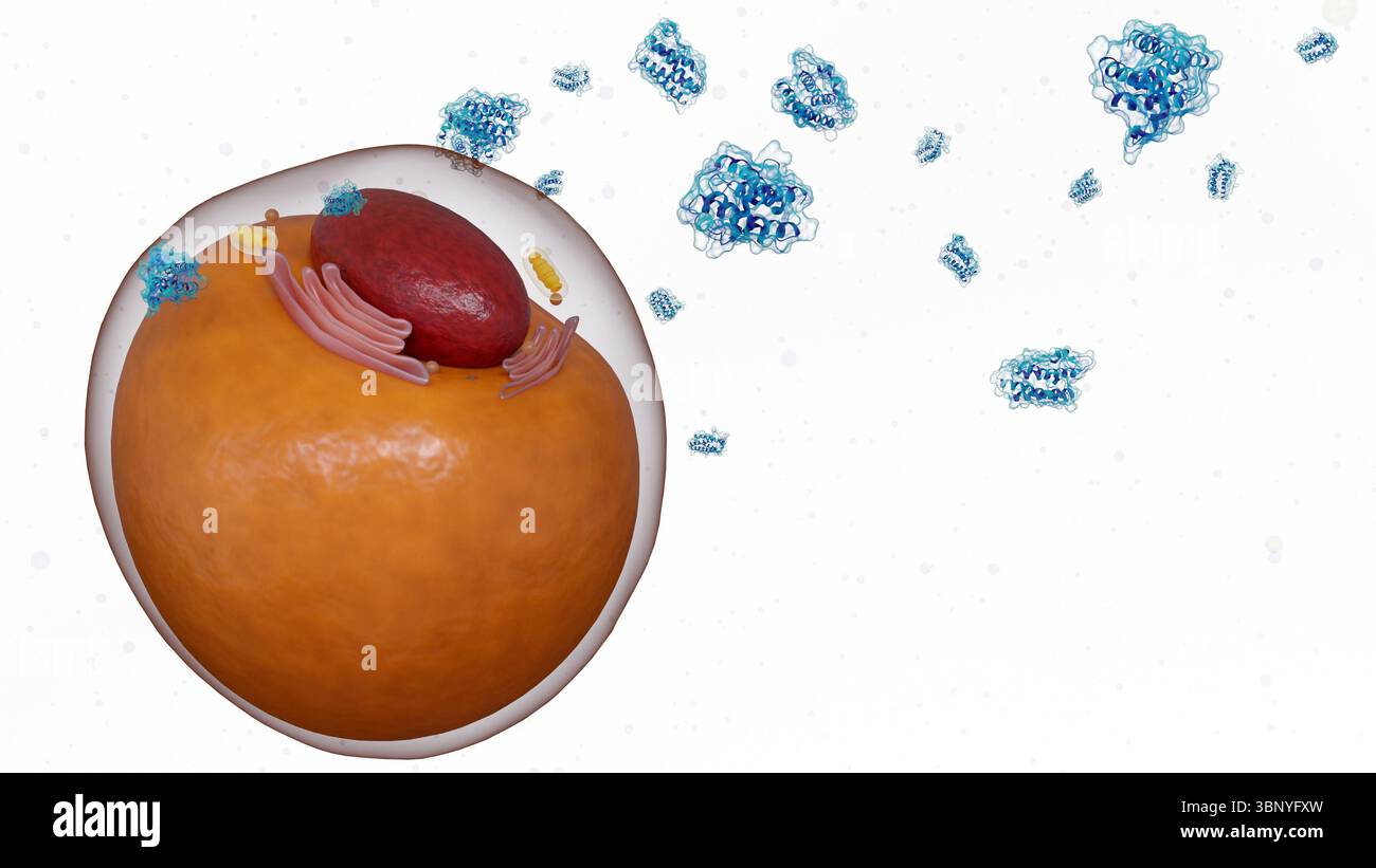Rendering 3d di molecole di leptina sparse e cellule adipocite o adipocite, che illustra il loro ruolo nel metabolismo e nella regolazione energetica. Foto Stock
