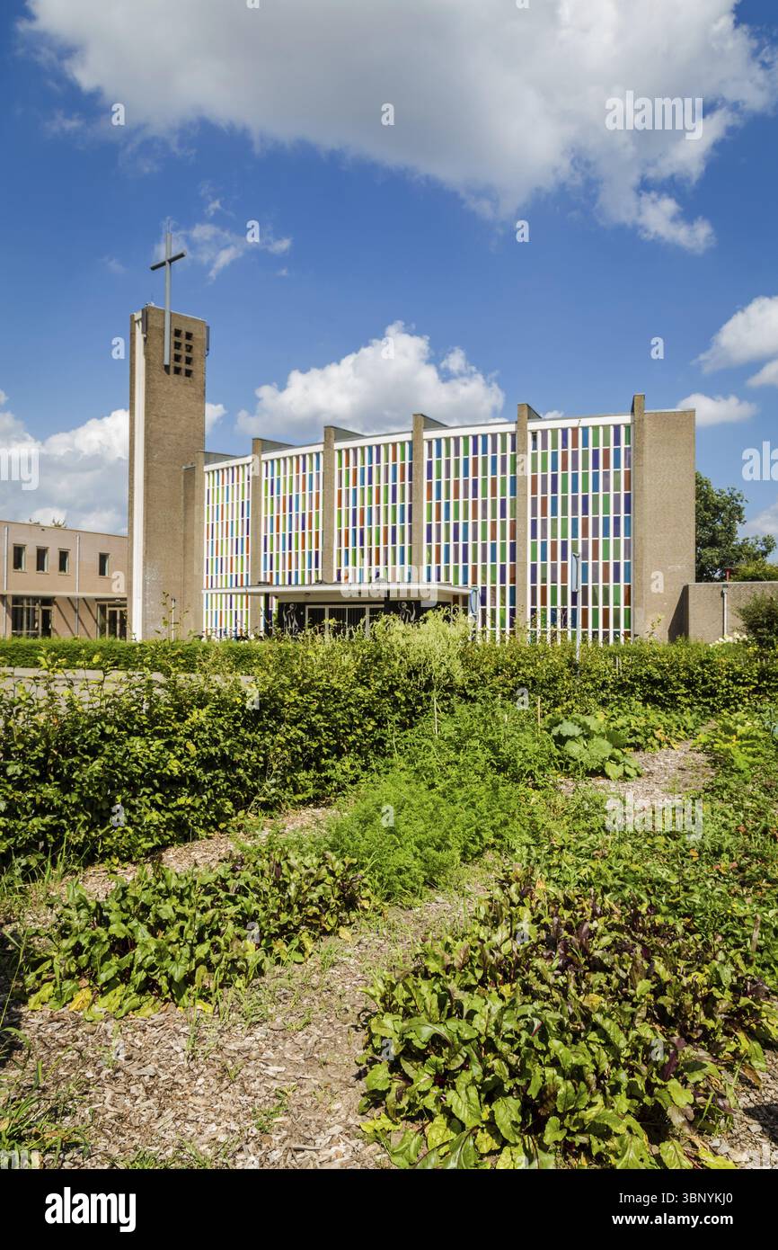 Verde urbano in un giardino sociale accanto a un condominio nelle aree urbane dei Paesi Bassi, Ede, Nederland Foto Stock