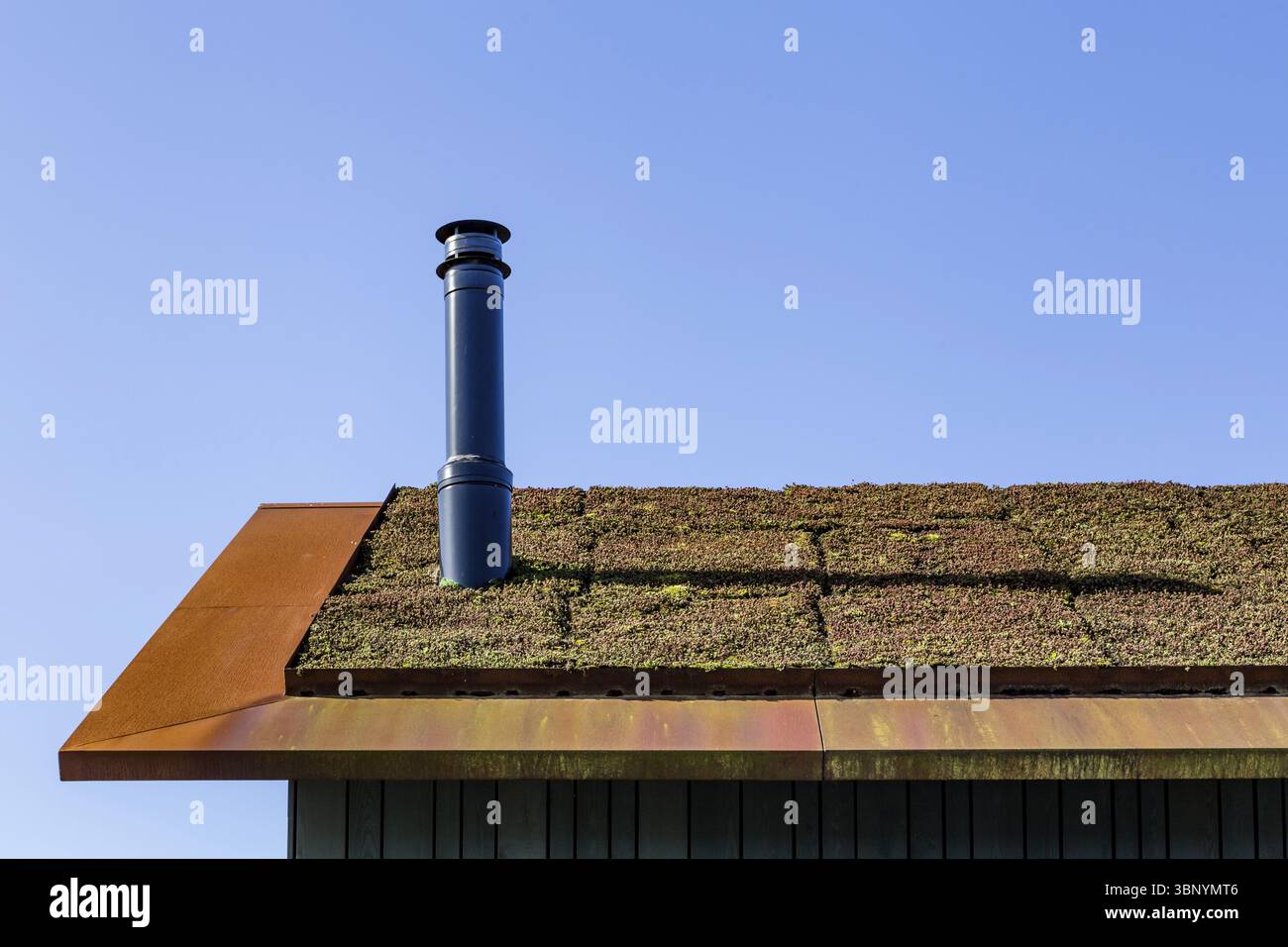 Moderno tetto verde con camino coperto di sedum verde e rosso per isolamento e riscaldamento Foto Stock