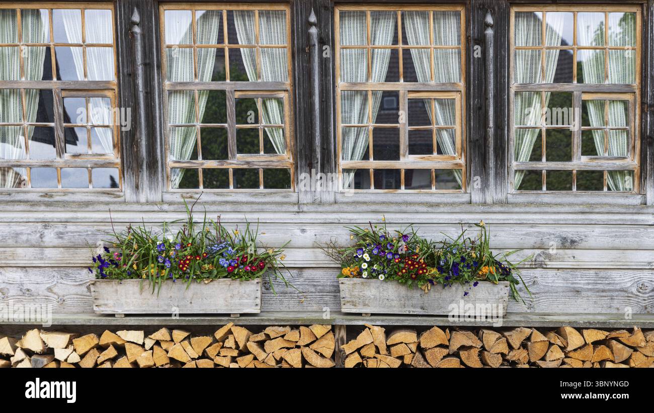 Muro in legno con finestre, fiori multicolore e deposito in legno Foto Stock
