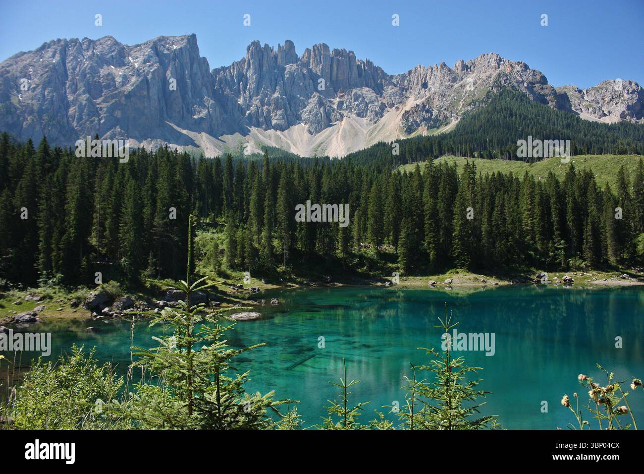 Lago di Carezza, Dolomiti Foto Stock
