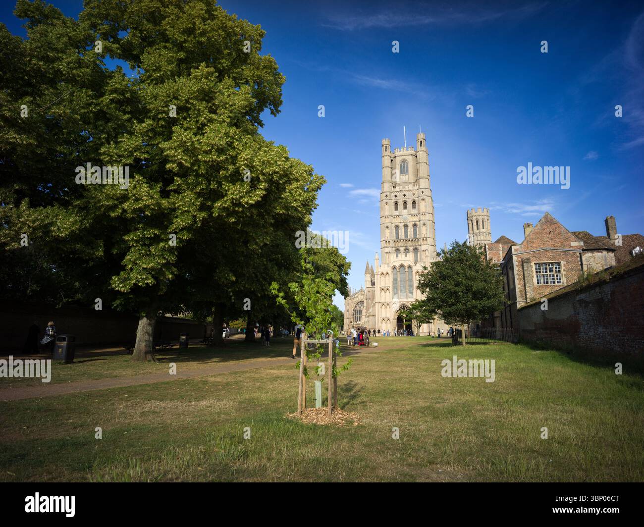 Ely, Inghilterra, Regno Unito, 24 giugno 2025, Ely Cathedral Exterior Foto Stock