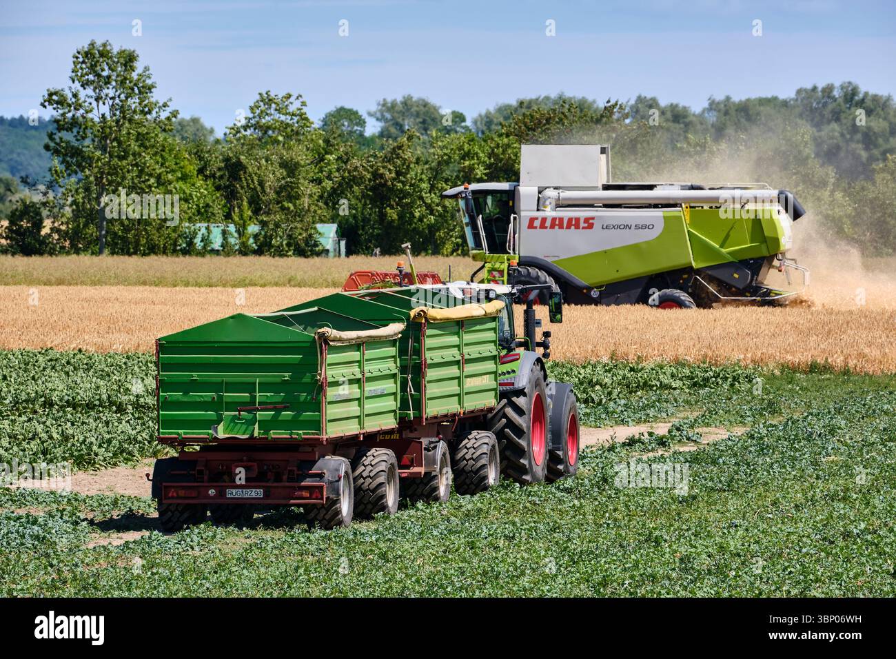 4 luglio 2025 - Patzig-Germania: Una mietitrebbia Claas Lexion 580 lavora in un campo di orzo invernale maturo mentre un trattore con due rimorchi attende Foto Stock
