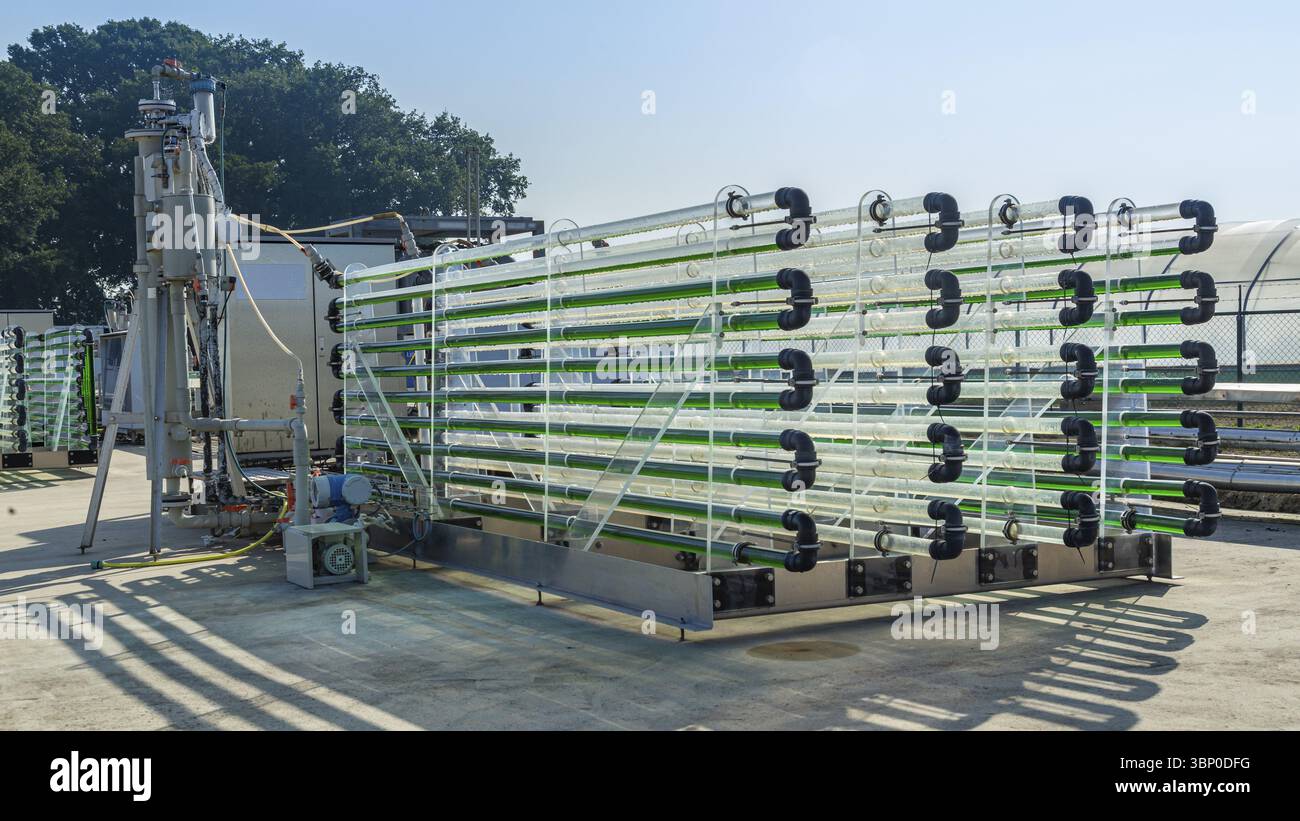 Wageningen, Paesi Bassi - 22 settembre 2020: Unità alghe per la produzione di alghe come biomassa alternativa sostenibile per la produzione di combustibile, olio e proteine Foto Stock
