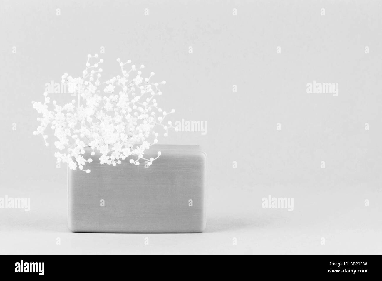 Un pezzo di sapone fatto a mano con fiori bianchi su uno sfondo grigio chiaro con spazio copia, foto monocromatica Foto Stock