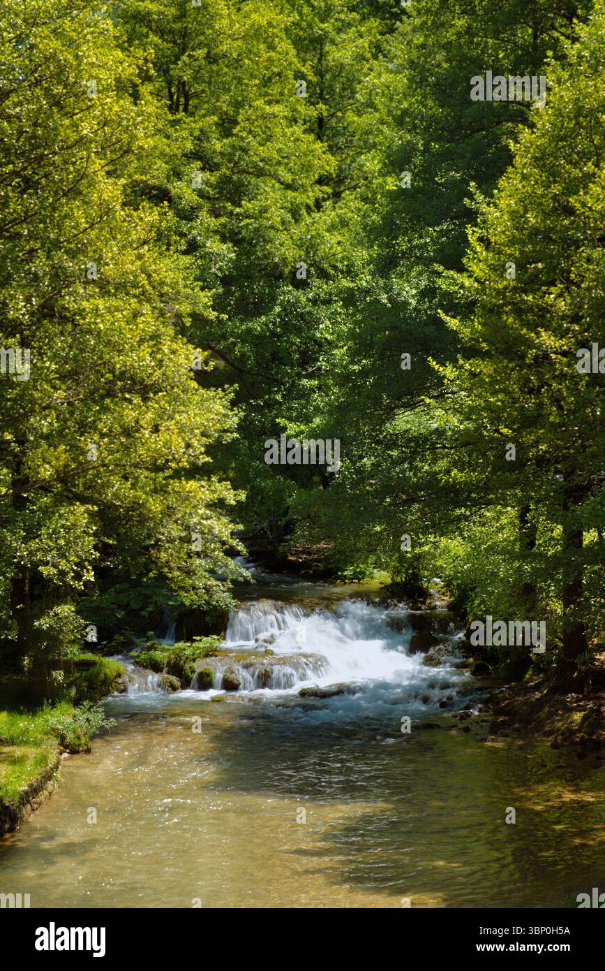 Un tranquillo fiume scorre attraverso una lussureggiante foresta verde, che si getta su piccole cascate, creando una tranquilla e pittoresca scena naturale. Foto Stock