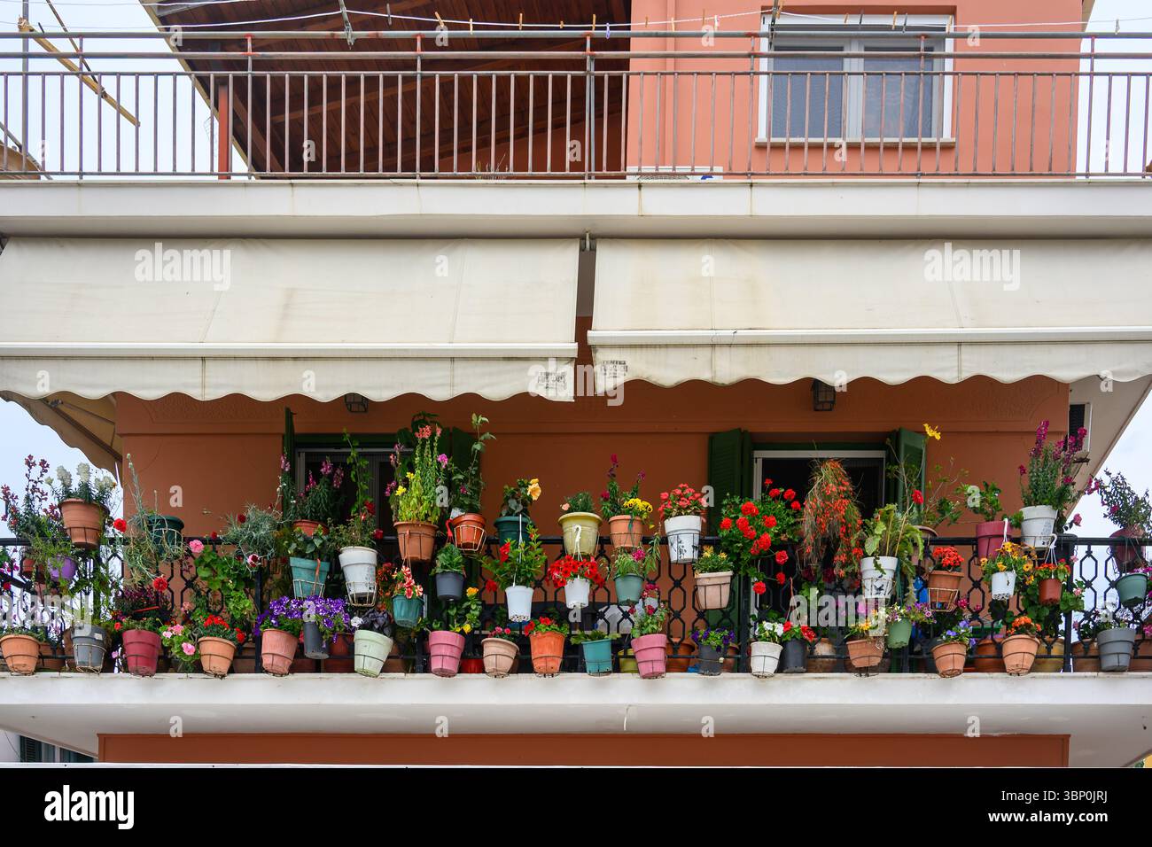 12-19/05/2025 Lakka, Paxos, Grecia. Piante di pentola in mostra su un balcone. Foto © Simon Grosset Foto Stock