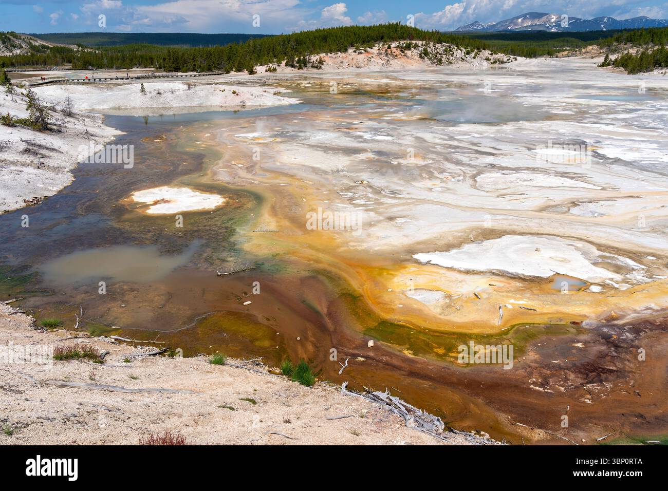 I coloratissimi tappetini antibatterici termici del parco nazionale di Yellowstone, Wyoming, Stati Uniti. Foto Stock