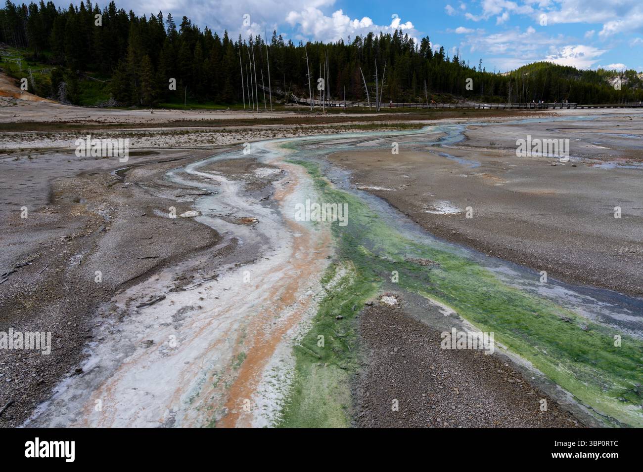 I coloratissimi tappetini antibatterici termici del parco nazionale di Yellowstone, Wyoming, Stati Uniti. Foto Stock