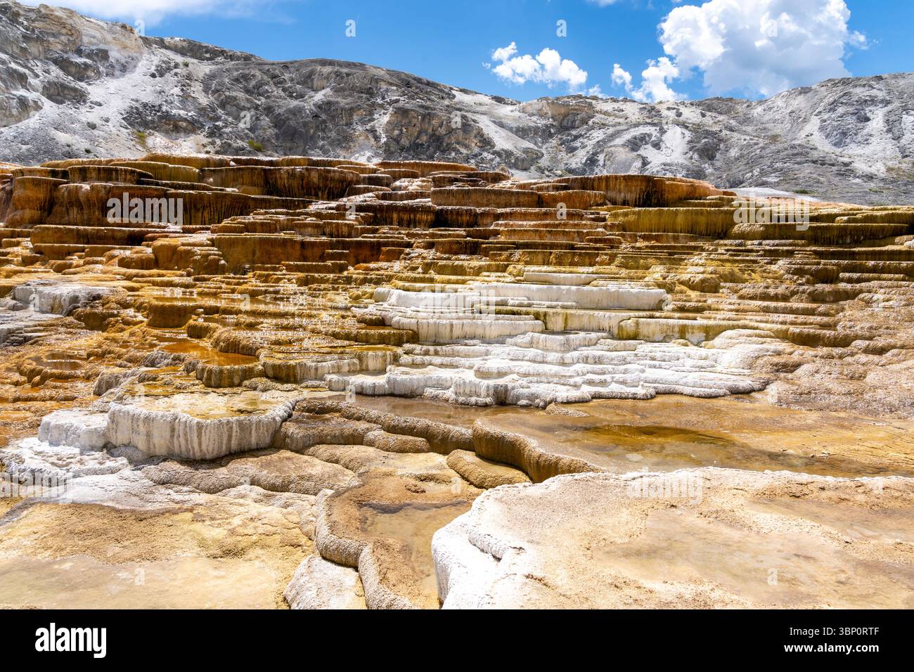 Terrazze colorate delle sorgenti termali Mammoth nel parco nazionale di Yellowstone, Wyoming, Stati Uniti. Foto Stock