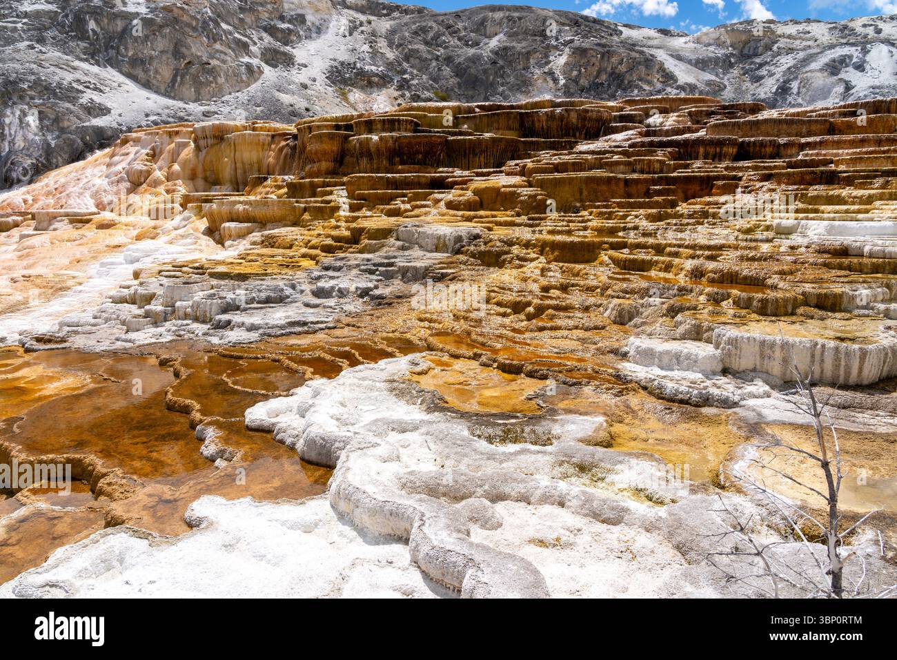 Terrazze colorate delle sorgenti termali Mammoth nel parco nazionale di Yellowstone, Wyoming, Stati Uniti. Foto Stock