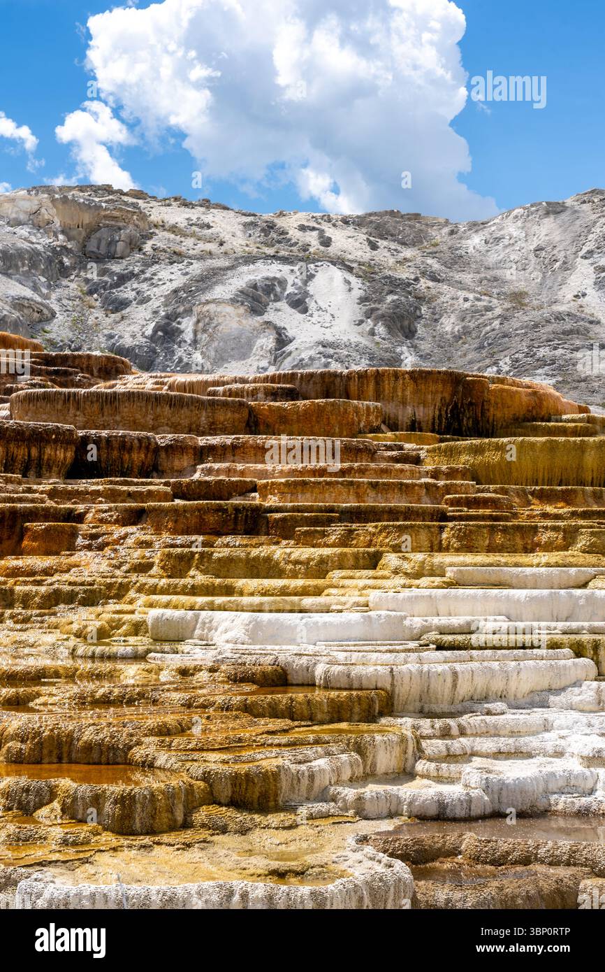 Terrazze colorate delle sorgenti termali Mammoth nel parco nazionale di Yellowstone, Wyoming, Stati Uniti. Foto Stock