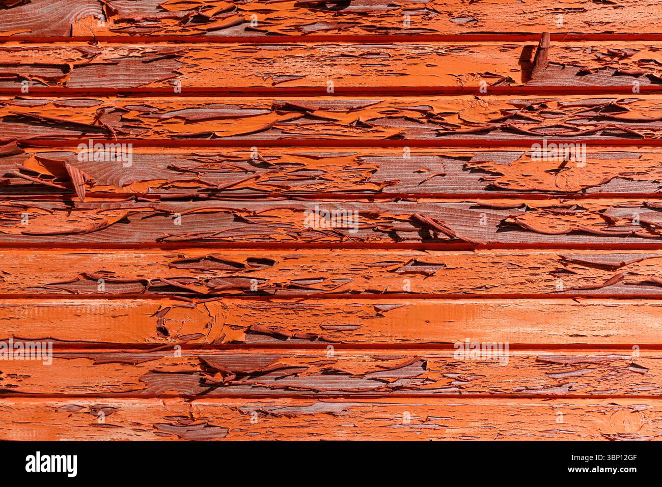 Sbucciare la vernice arancione su pannelli di legno Foto Stock