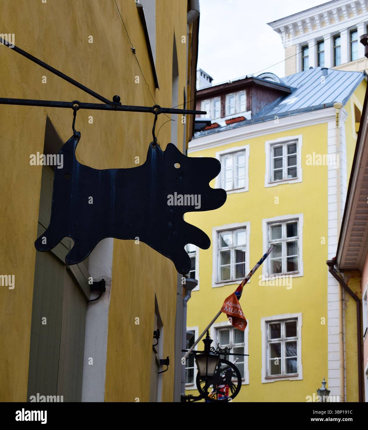 Simbolo di ferro battuto sagoma del cane su un edificio giallo nella città vecchia di Tallinn Foto Stock
