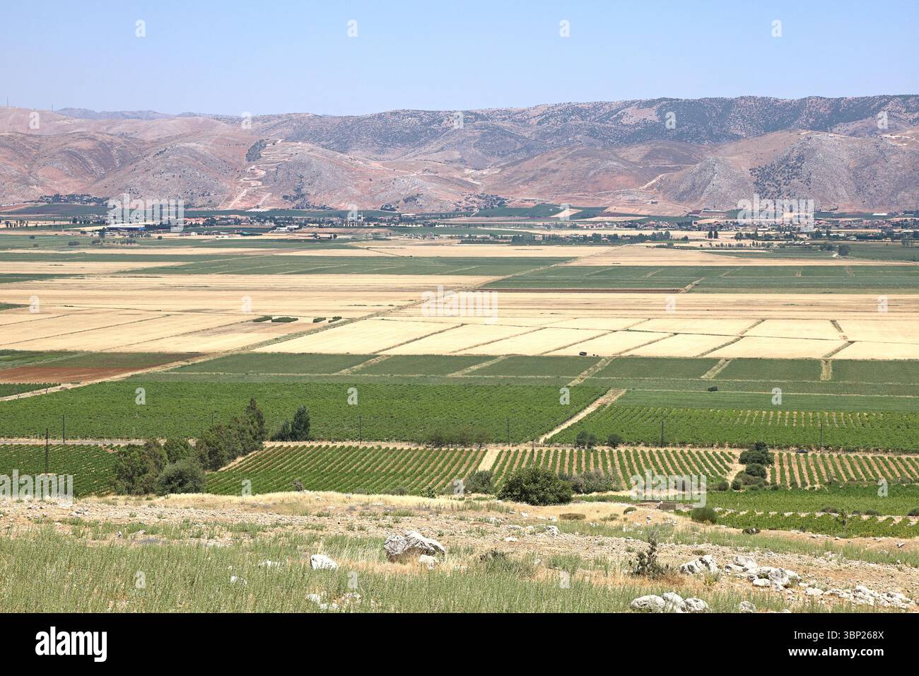 La bellissima valle della Bekaa in Libano: Un altopiano agricolo situato tra le catene montuose del Libano e dell'Anti-libano. Foto Stock