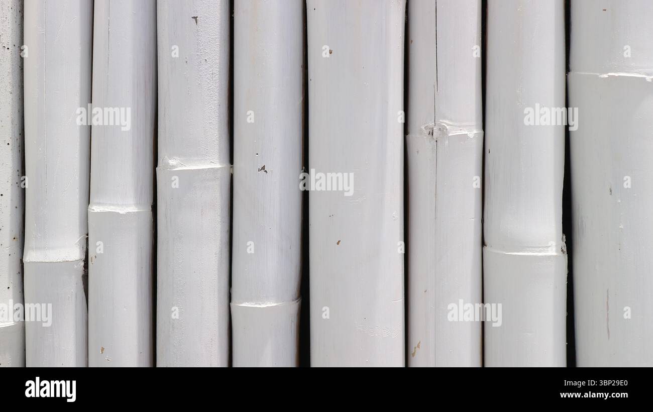 Rivestimento verticale in bambù dipinto di bianco ecologico. Interni dal design minimalista naturale, perfetti per sfondi o temi ispirati alla spa. Foto Stock