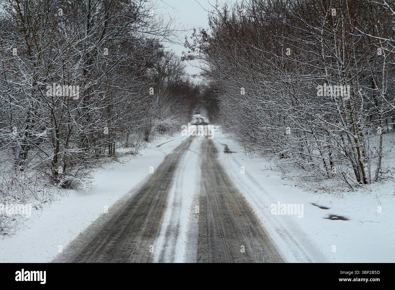 Cristmas Road nella foresta. Foto Stock
