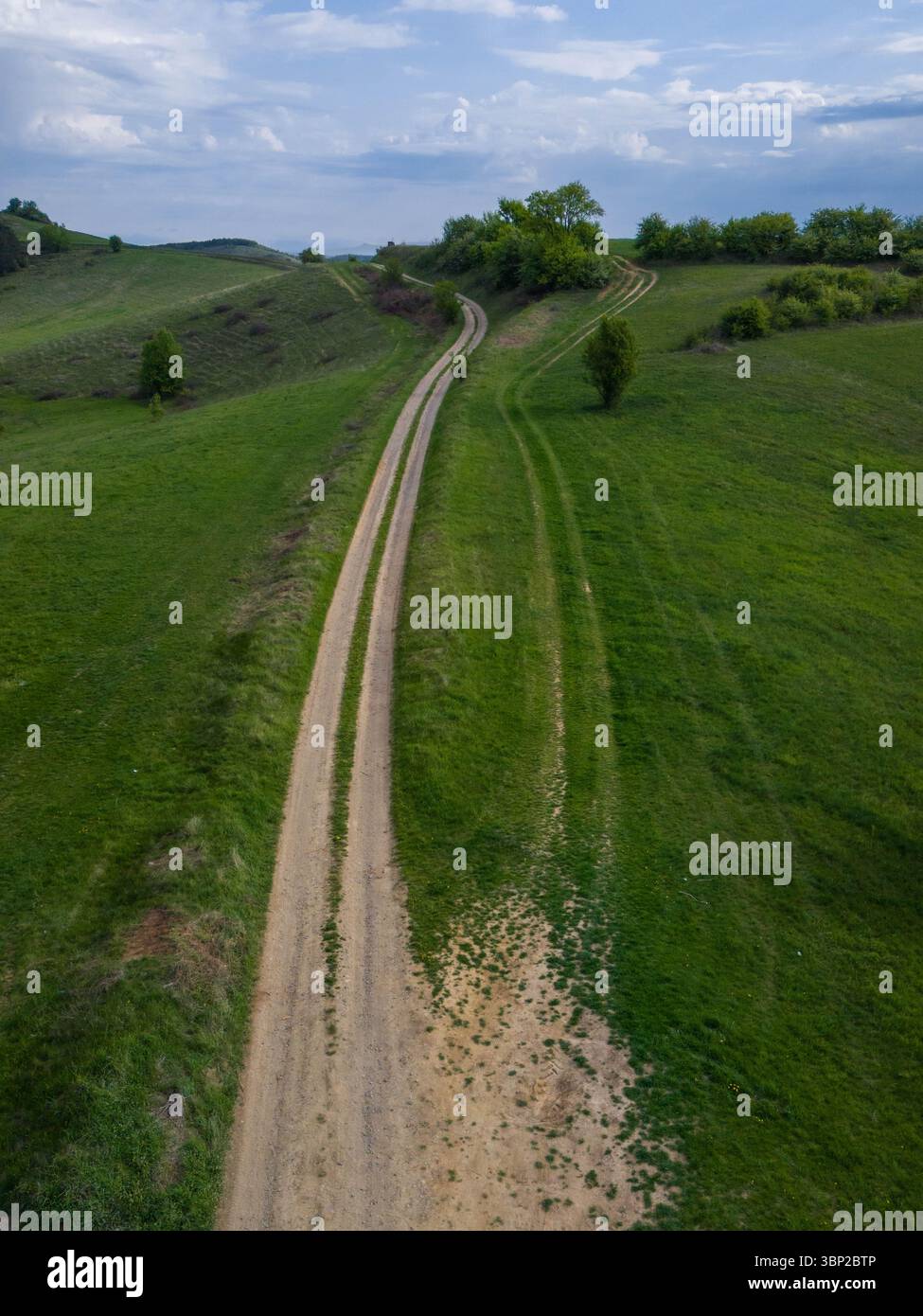 Fotografia di un drone che cattura una lunga strada di ghiaia che attraversa un campo di erba aperto adiacente a una foresta. Foto Stock