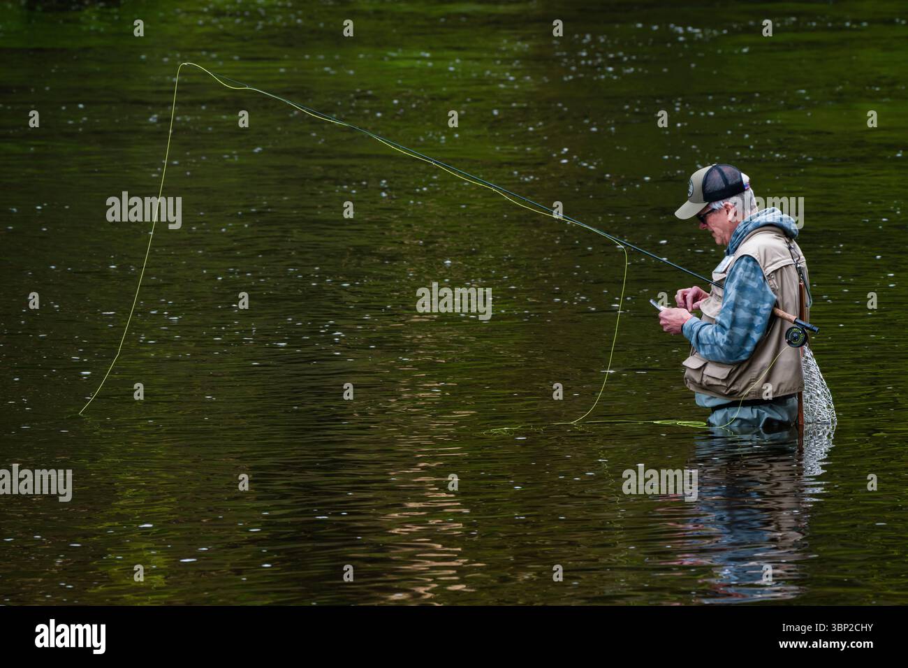 La pesca con la mosca Farmington fiume _ Barkhamsted, Connecticut, Stati Uniti d'America Foto Stock