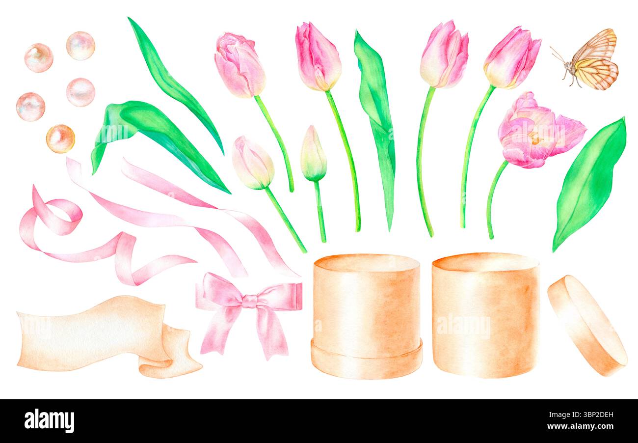 Un set di tulipani rosa, foglie verdi, una scatola con un coperchio per fiori, un fiocco per la scatola, un portatesto, nastri, una farfalla, perle. Disegnato ad acquerello Foto Stock