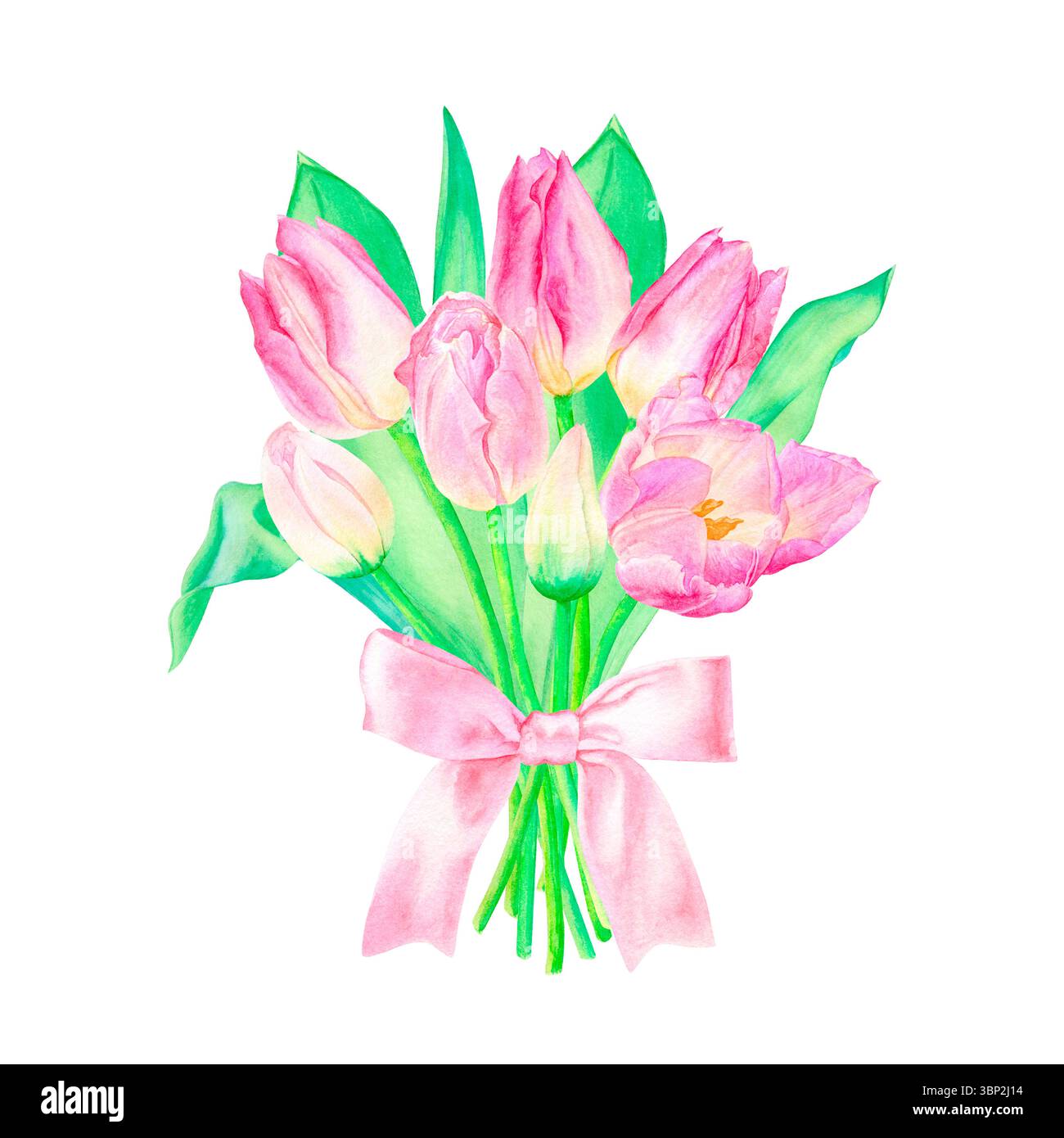 Illustrazione floreale ad acquerello disegnata a mano. Bouquet natalizio di tulipani rosa con foglie verdi legate con un nastro rosa. Isolato su sfondo bianco.su Foto Stock