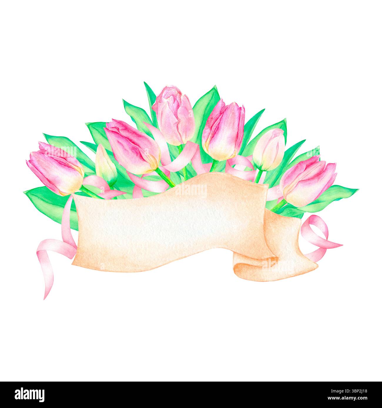 Elemento banner a nastro beige per testo, decorato con tulipani e nastri rosa, foglie verdi. Illustrazione delle festività acquerello disegnata a mano, isolata su wh Foto Stock