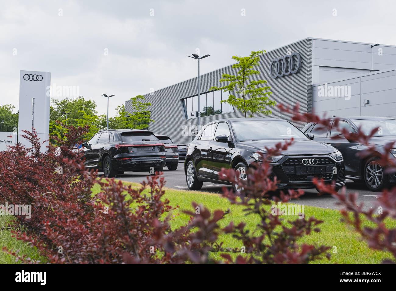 Vetture Audi parcheggiate fuori dall'edificio di una concessionaria Foto Stock