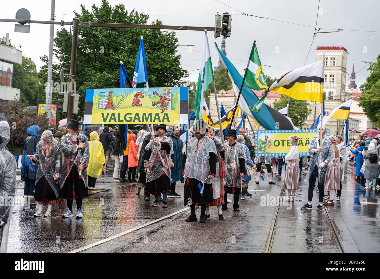 Gruppi da Valgamaa e Otepää in costume popolare alla processione del Festival della canzone, Tallinn, Estonia, luglio 2025. Foto Stock