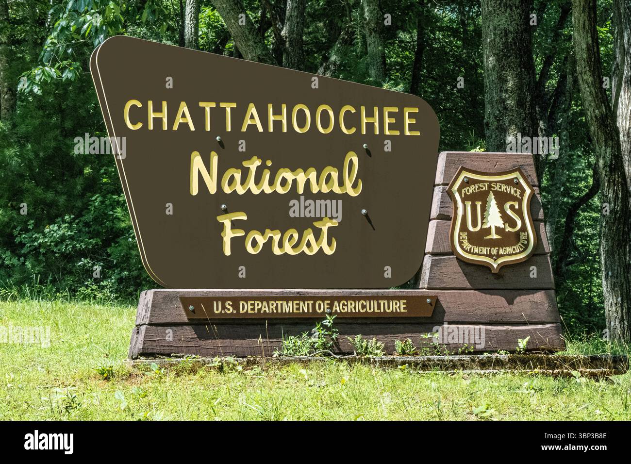 Cartello della foresta nazionale di Chattahoochee vicino al Vogel State Park e Blood Mountain nelle North Georgia Mountains. (USA) Foto Stock