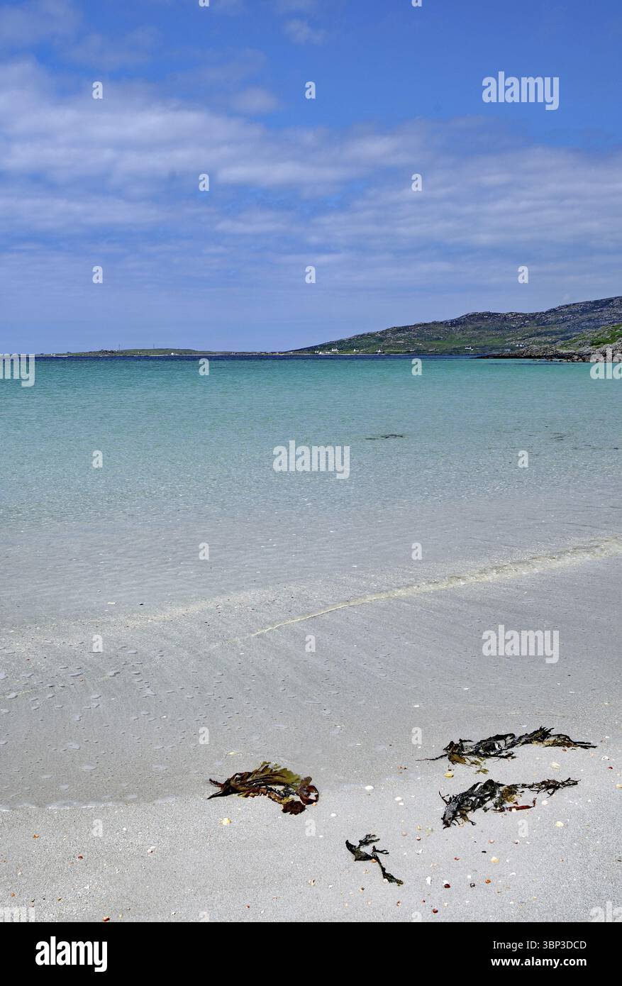 Spiaggia tranquilla con cielo azzurro, acque cristalline e alghe in primo piano, Ebridi esterne, Eriksay, Scozia, Regno Unito, Europa Foto Stock