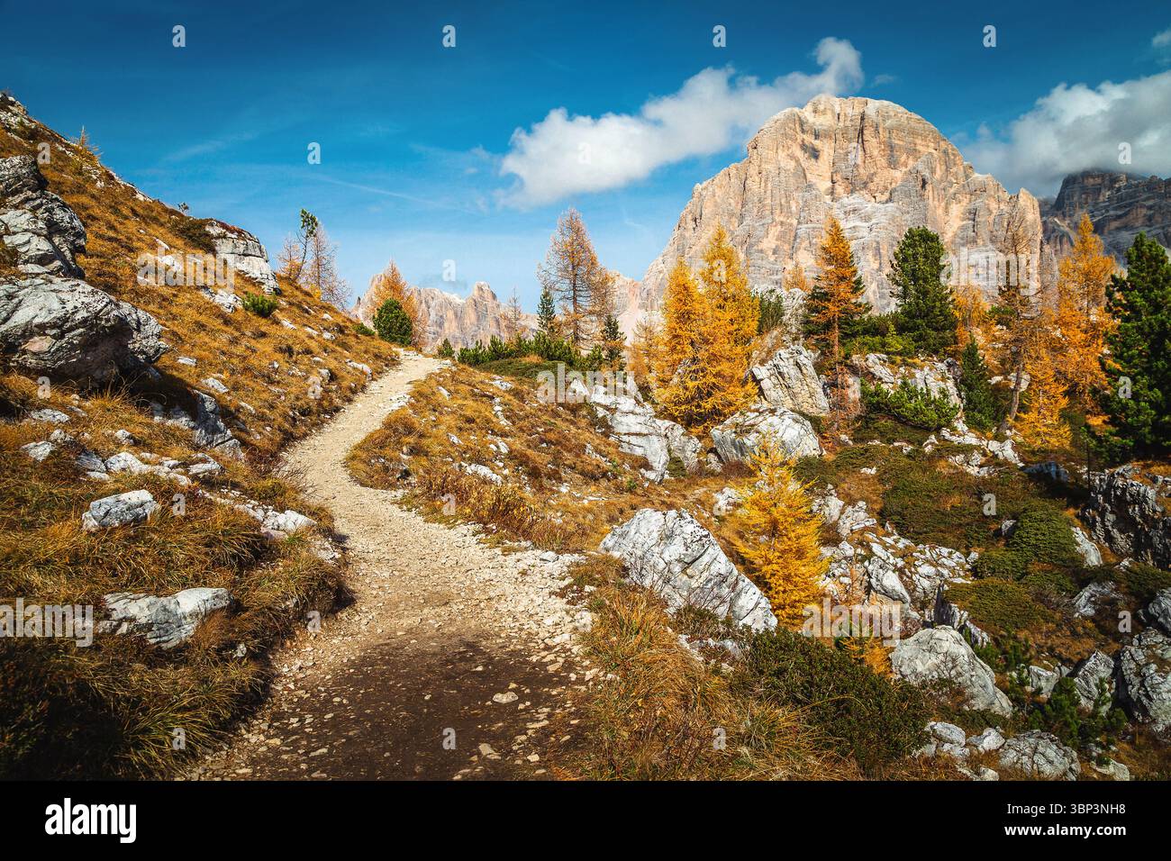 Magnifico paesaggio alpino autunnale con larici gialli. Pittoresco sentiero escursionistico sul pendio, vicino alle scogliere delle cinque Torri, Dolomiti, Italia, Europa Foto Stock