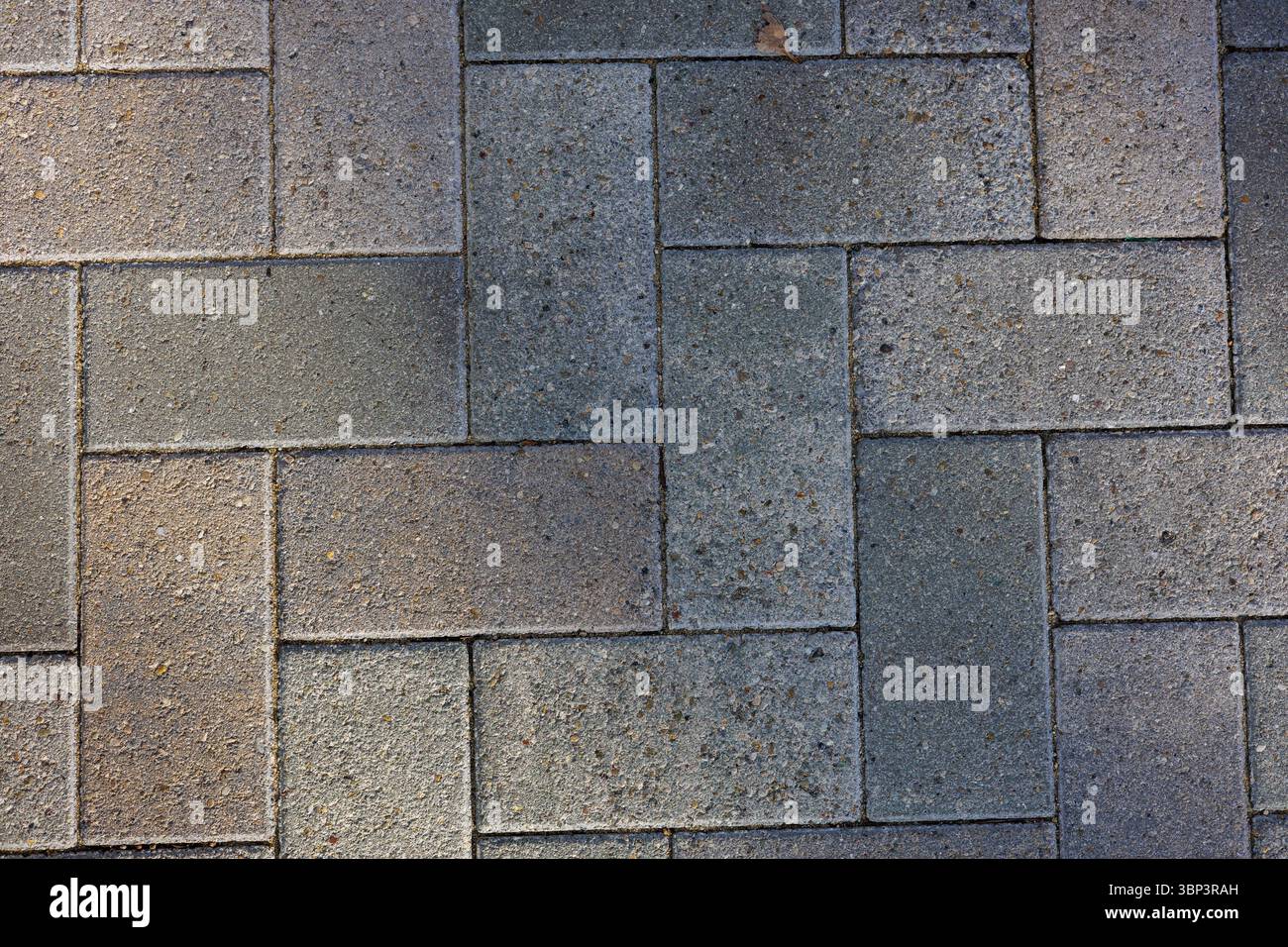 Le asfaltatrici rettangolari a incastro formano un motivo a spina di pesce su un passaggio pedonale. Le ombre sottili creano un gioco di luce e trama sulla superficie. Foto Stock
