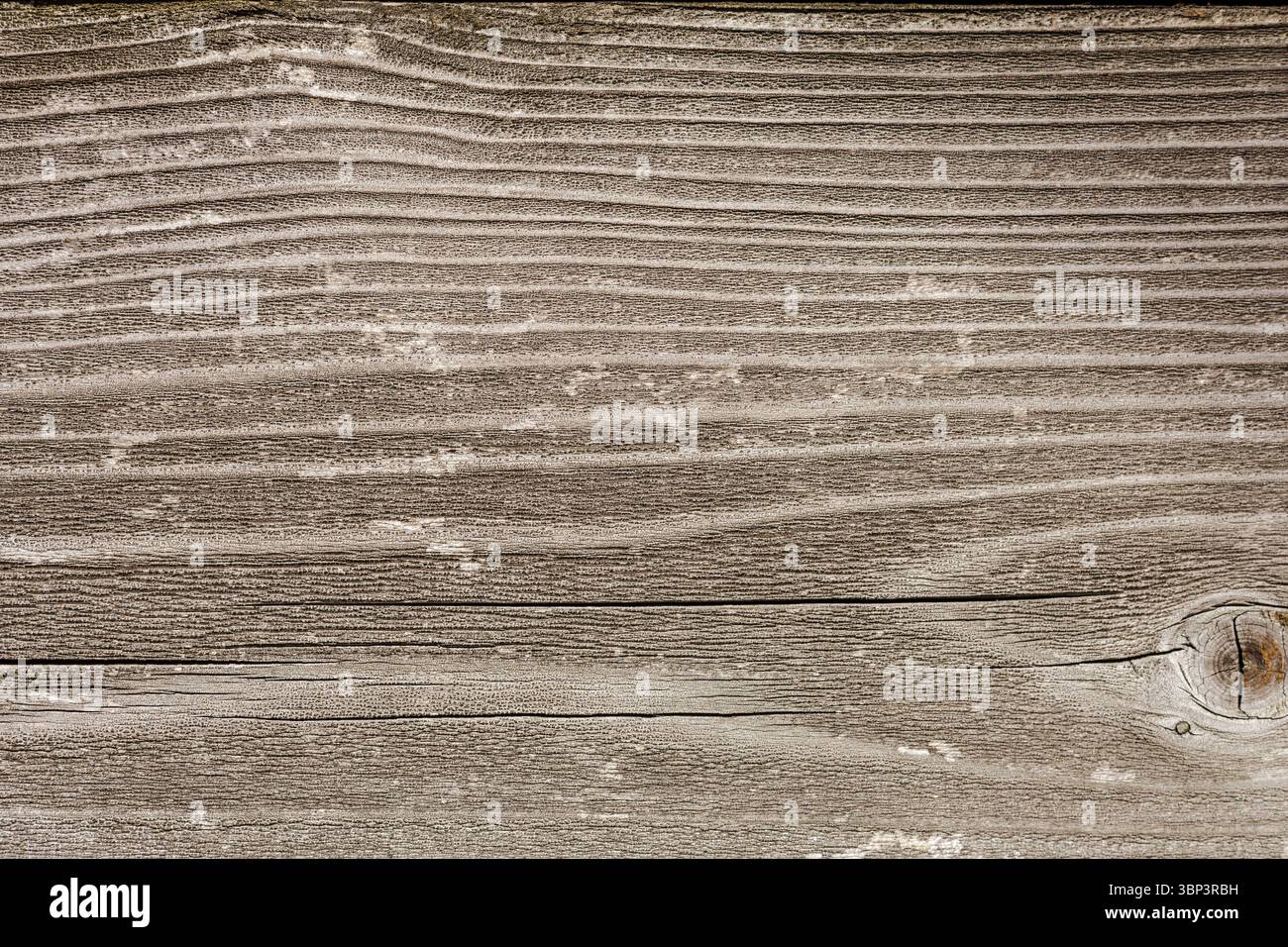 La superficie in legno resistente agli agenti atmosferici mostra una grana fluida e sottili nodi. Le tonalità tenui e le texture naturali creano un aspetto rustico di lunga durata. Foto Stock