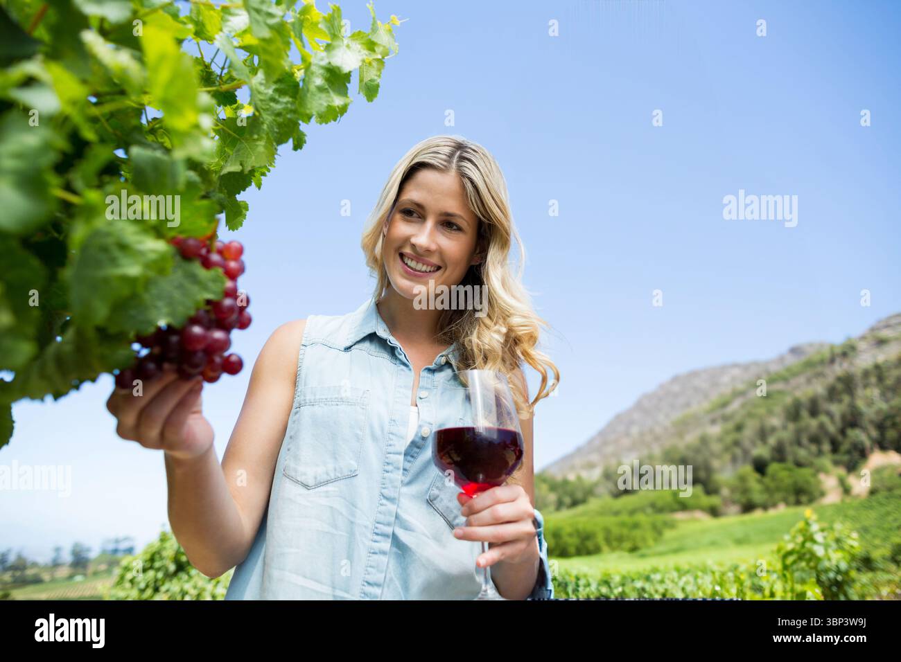 Donna in piedi in un lussureggiante vigneto sotto il cielo blu, tenendo un bicchiere di vino e raggiungendo grappoli di uve mature Foto Stock