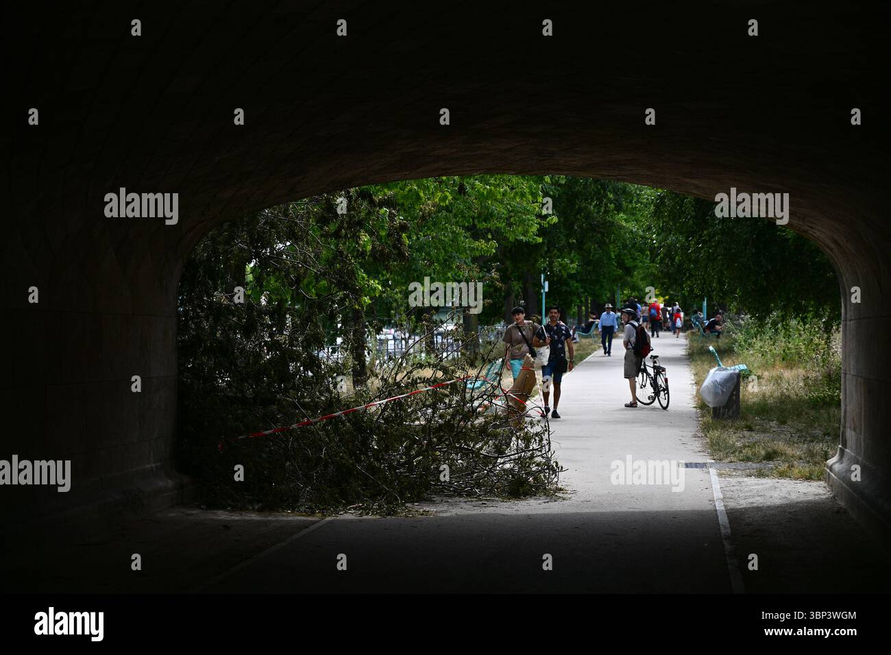 Parigi, Francia. 5 luglio 2025. Un segno della recente tempesta, gli alberi sradicati straripano il terreno sull'Ile aux Cygnes di fronte al quartiere Beaugrenelle, il 5 luglio 2025, a Parigi. - 05/07/2025 - Francia/Parigi - Julien Mattia/le Pictorium credito: LE PICTORIUM/Alamy Live News Foto Stock