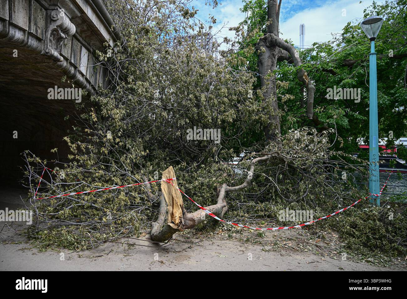 Parigi, Francia. 5 luglio 2025. Un segno della recente tempesta, gli alberi sradicati straripano il terreno sull'Ile aux Cygnes di fronte al quartiere Beaugrenelle, il 5 luglio 2025, a Parigi. - 05/07/2025 - Francia/Parigi - Julien Mattia/le Pictorium credito: LE PICTORIUM/Alamy Live News Foto Stock
