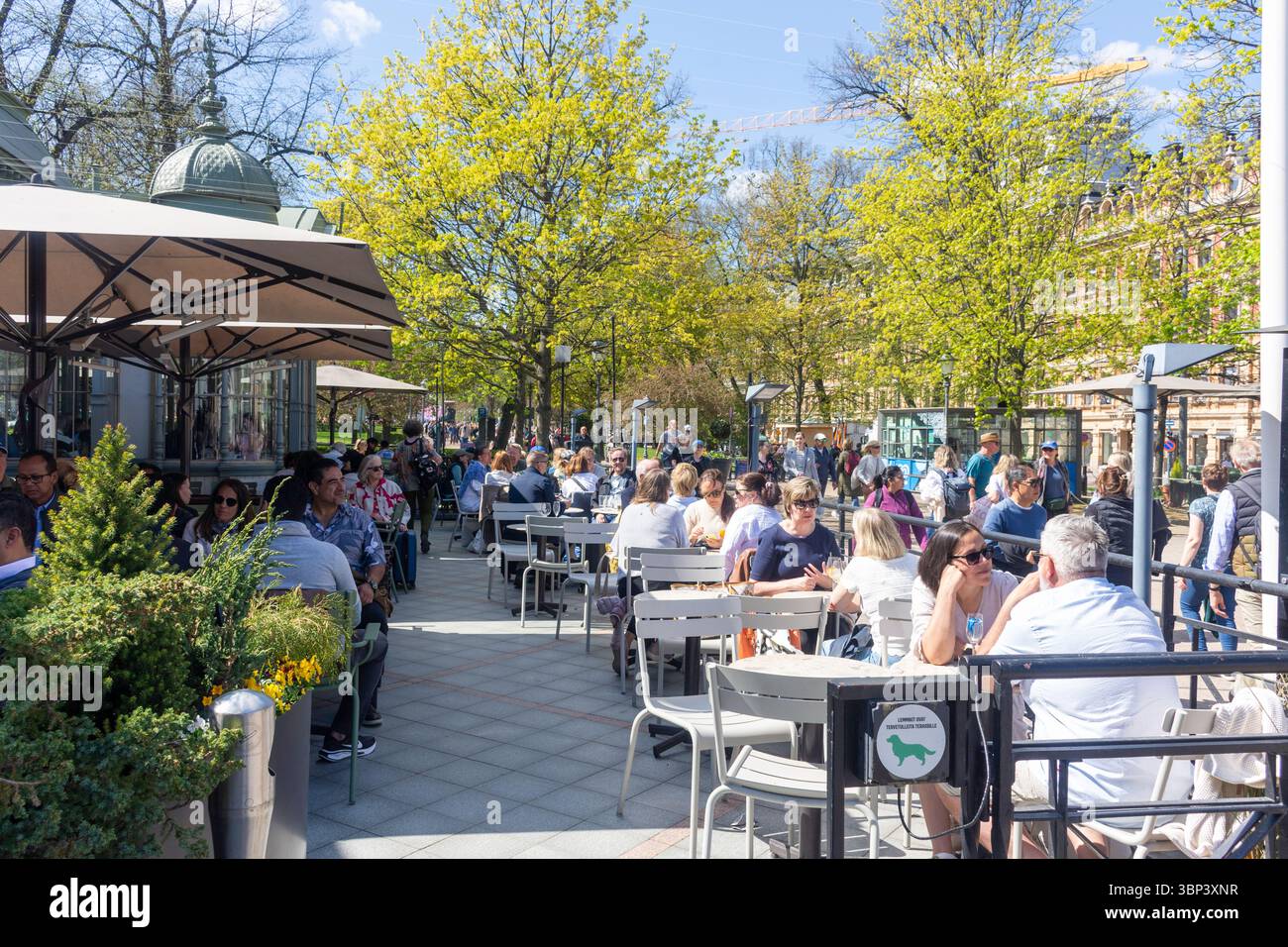 Ristorante Kappeli, The Esplanade (Esplanadi), Kluuvi, città di Helsinki, regione di Uusimaa (Nyland), Repubblica di Finlandia Foto Stock